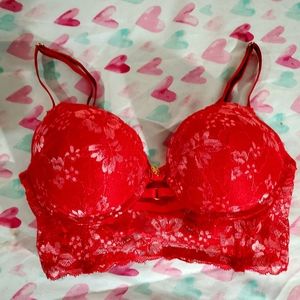Daisy Fuentes Bra 34b
